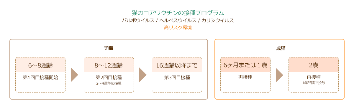 猫のコアワクチン高リスク